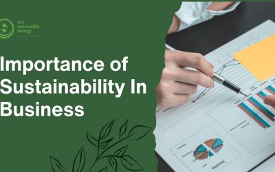 The Importance of Sustainability in Business and How to Achieve It?