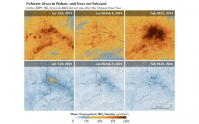 Coronavirus upside? Humans in isolation and Earth’s regeneration